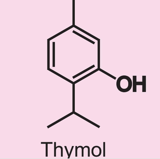 Chemical structure of thymol